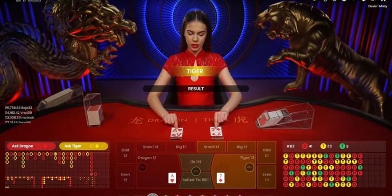 5 bước vào chơi Rồng Hổ cho thành viên mới