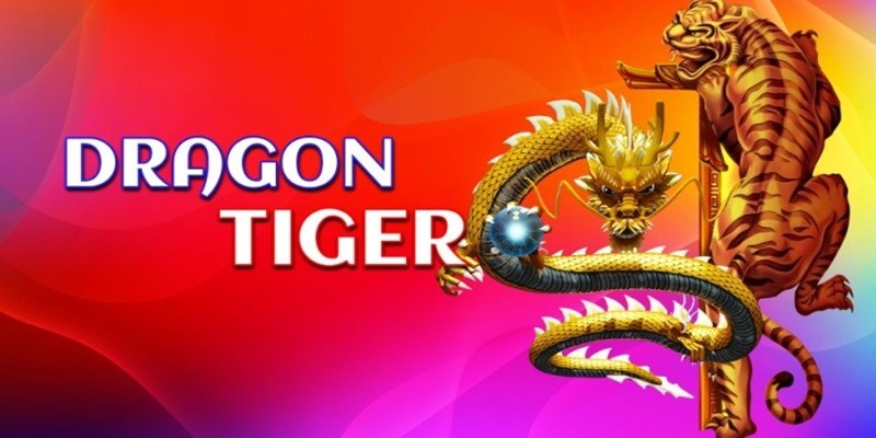 Rồng Hổ OK365 thu hút vô số hội viên tham gia